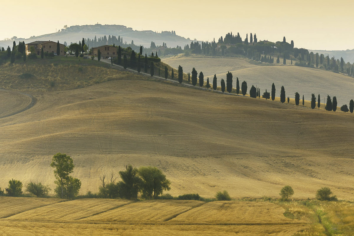 Il paesaggio tra Asciano e Sinalunga