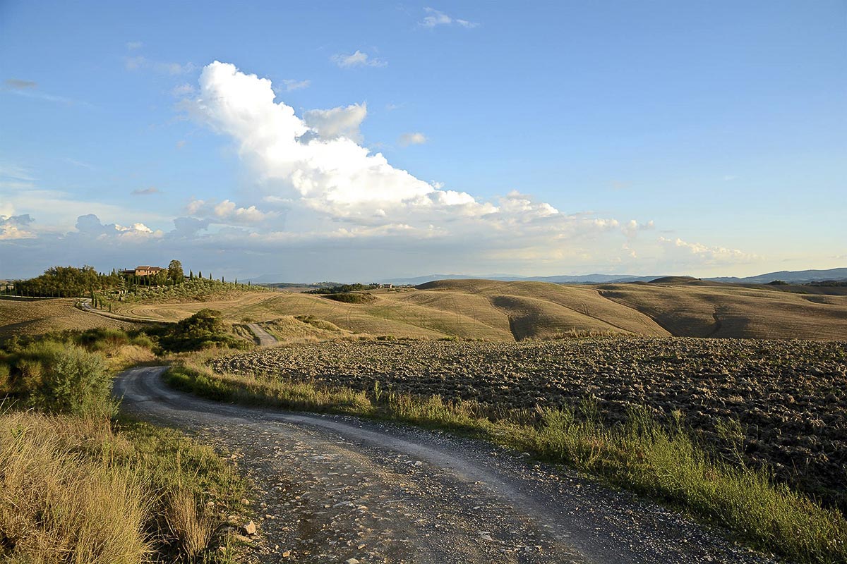 Il paesaggio tra Asciano e Scrofiano