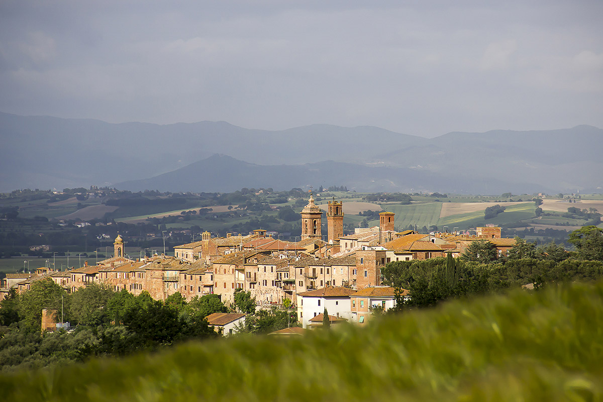 Il paesaggio tra Scrofiano e Torrita
