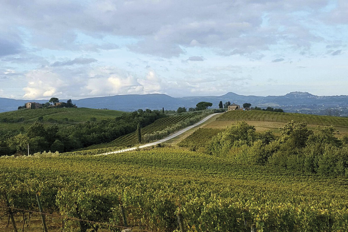 Il paesaggio tra Scrofiano e Torrita